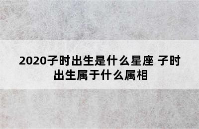 2020子时出生是什么星座 子时出生属于什么属相